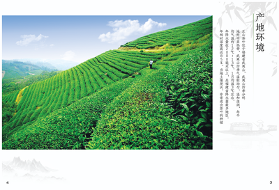 正山堂茶業宣傳畫冊